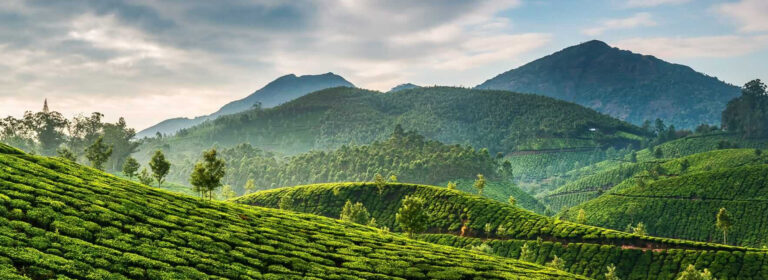 Why North Kerala Is the Underrated Gem You Need for Your Next Weekend Getaway